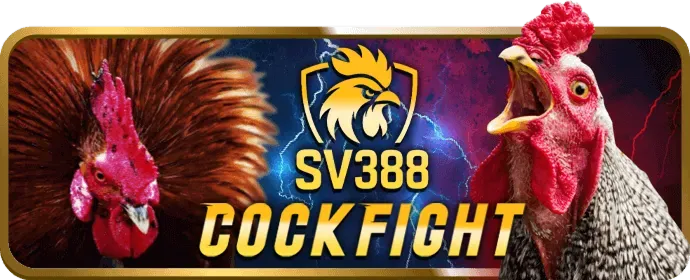 Ưu đãi và khuyến mãi hấp dẫn của 95 win casino
